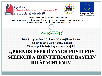 Prezentcia projektu