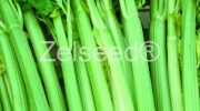 0442 ZELER NUGET
