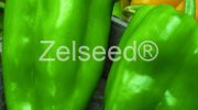 2634 PAPRIKA IVICA F1