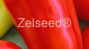 2640 PAPRIKA BLAVA