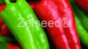 2648 PAPRIKA DERMA