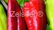 2649 PAPRIKA MÁŠENKA