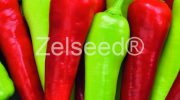 2670 PAPRIKA BRANKO