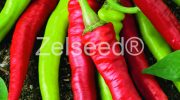 2675 PAPRIKA BARKOL