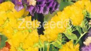 9370 LIMONKA ZMES